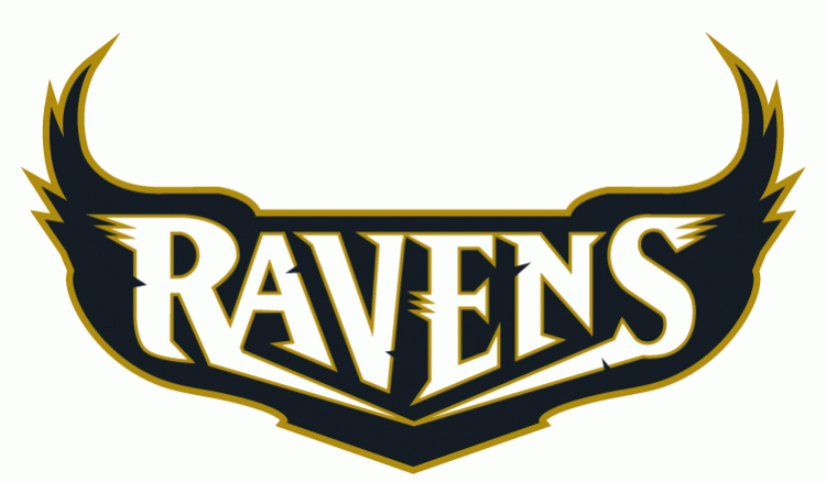 Baltimore Ravens 1996-1998 Wordmark Logo t shirt iron on transfers version 3...